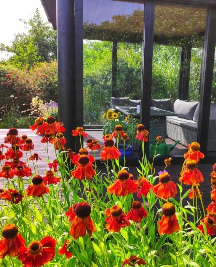 Apartments At Ballinsheen House & Gardens ليسدونفارنا المظهر الخارجي الصورة