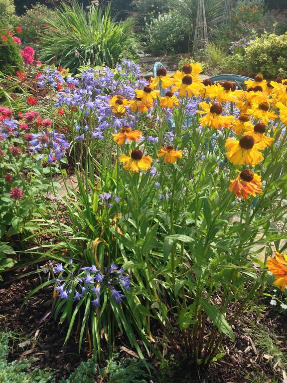 Apartments At Ballinsheen House & Gardens ليسدونفارنا المظهر الخارجي الصورة