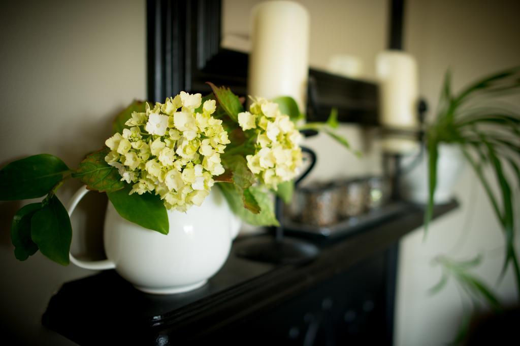 Apartments At Ballinsheen House & Gardens ليسدونفارنا المظهر الخارجي الصورة